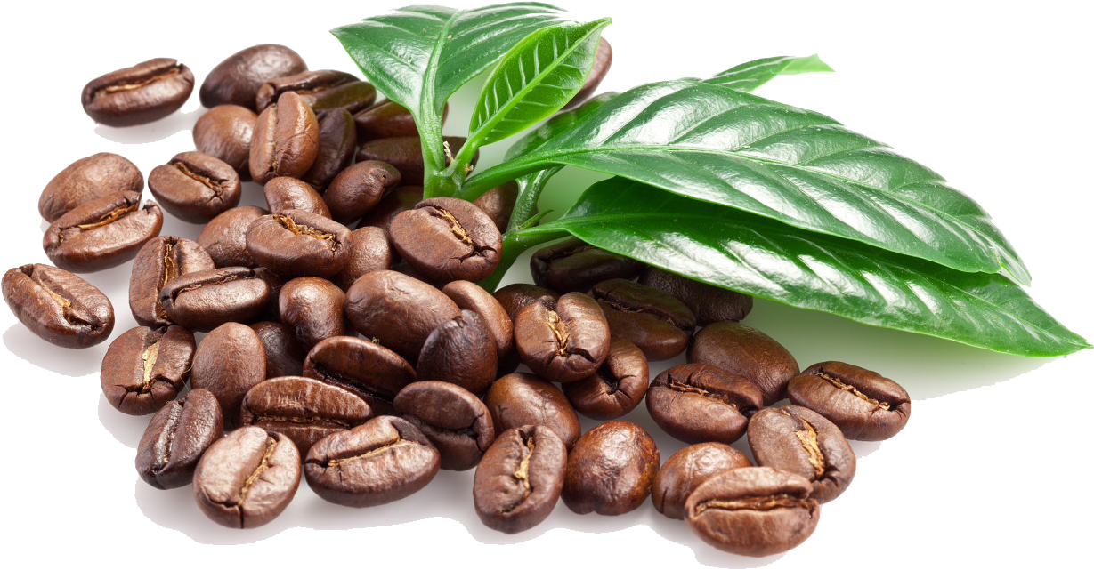 Fresh Coffee Beans With Leaves PNG image