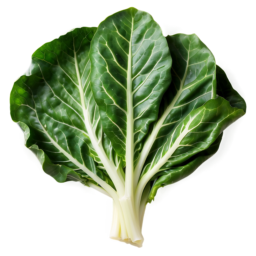 Fresh Collard Greens Png 06252024 PNG image