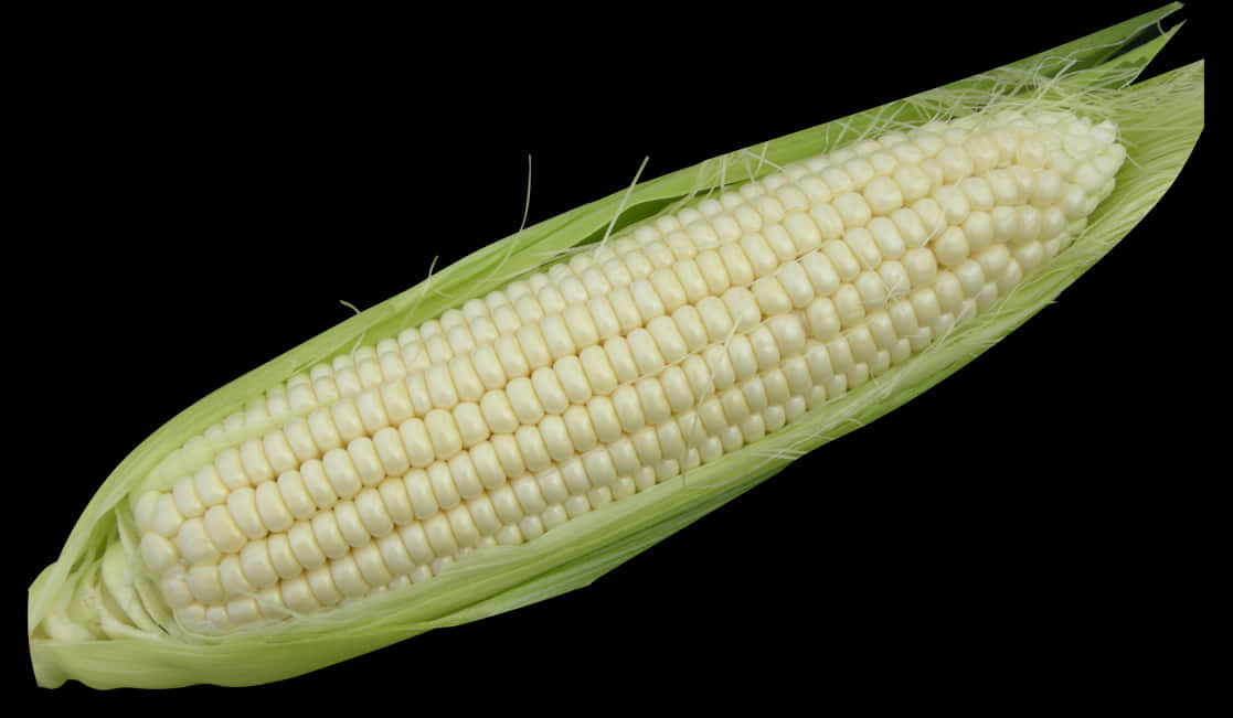 Fresh Corn Cobon Black Background.jpg PNG image