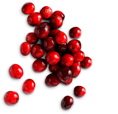 Fresh Cranberries Top View PNG image