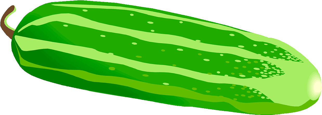 Fresh Cucumber Graphic PNG image