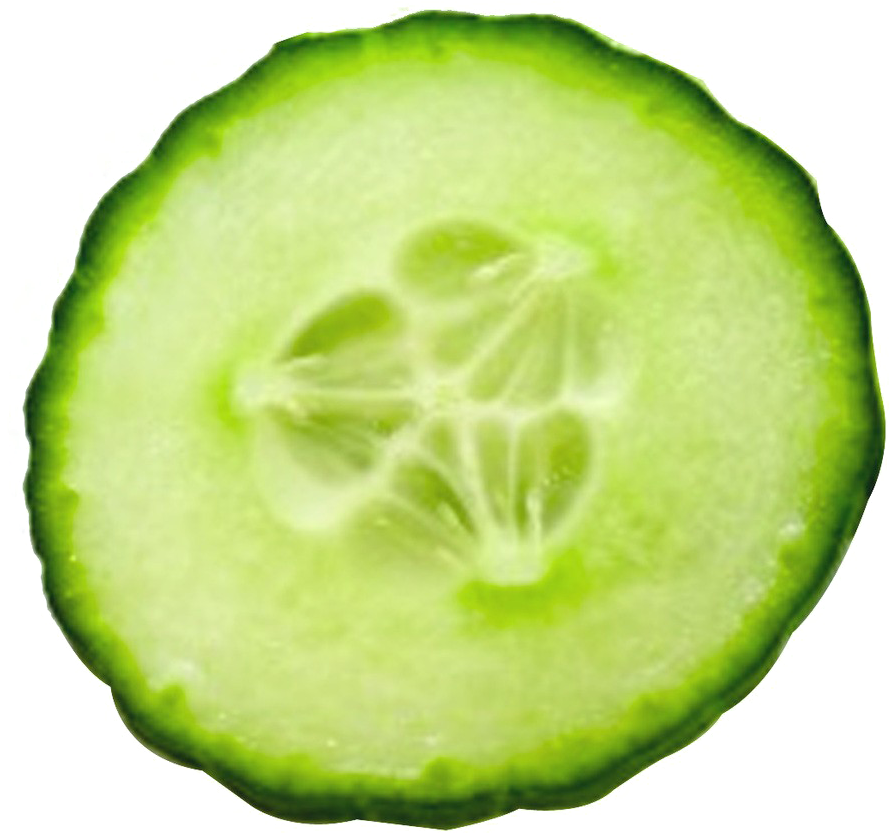 Fresh Cucumber Slice Transparent Background PNG image