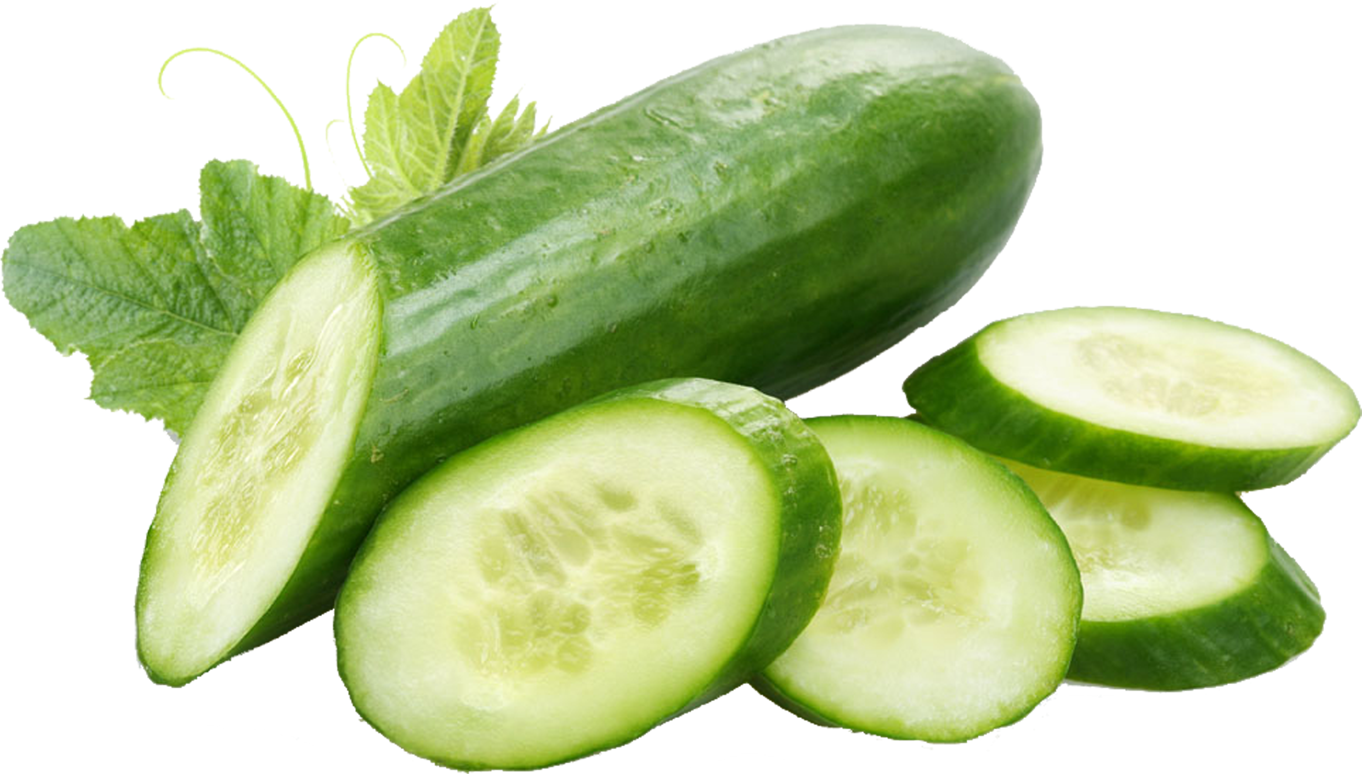 Fresh Cucumberand Slices.png PNG image