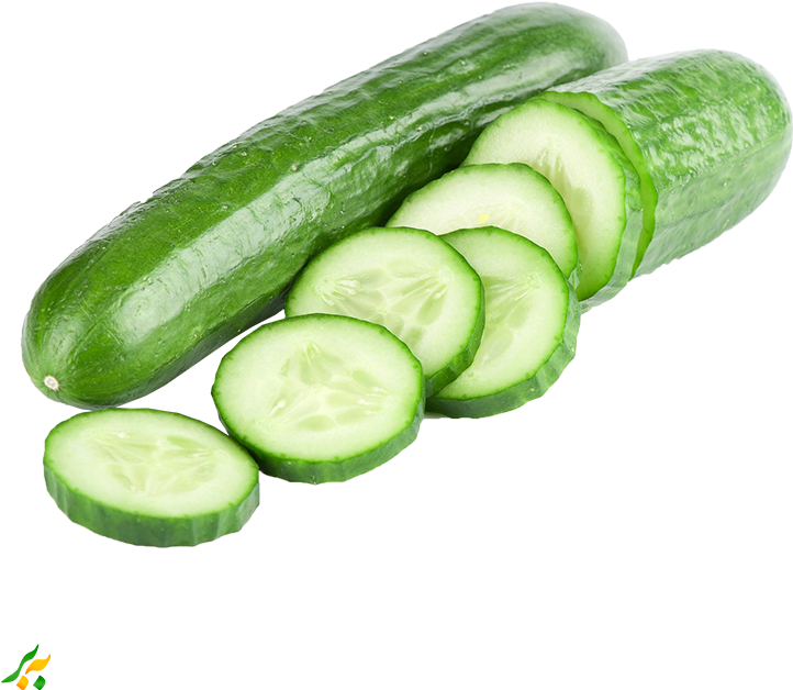 Fresh Cucumberand Slices.png PNG image