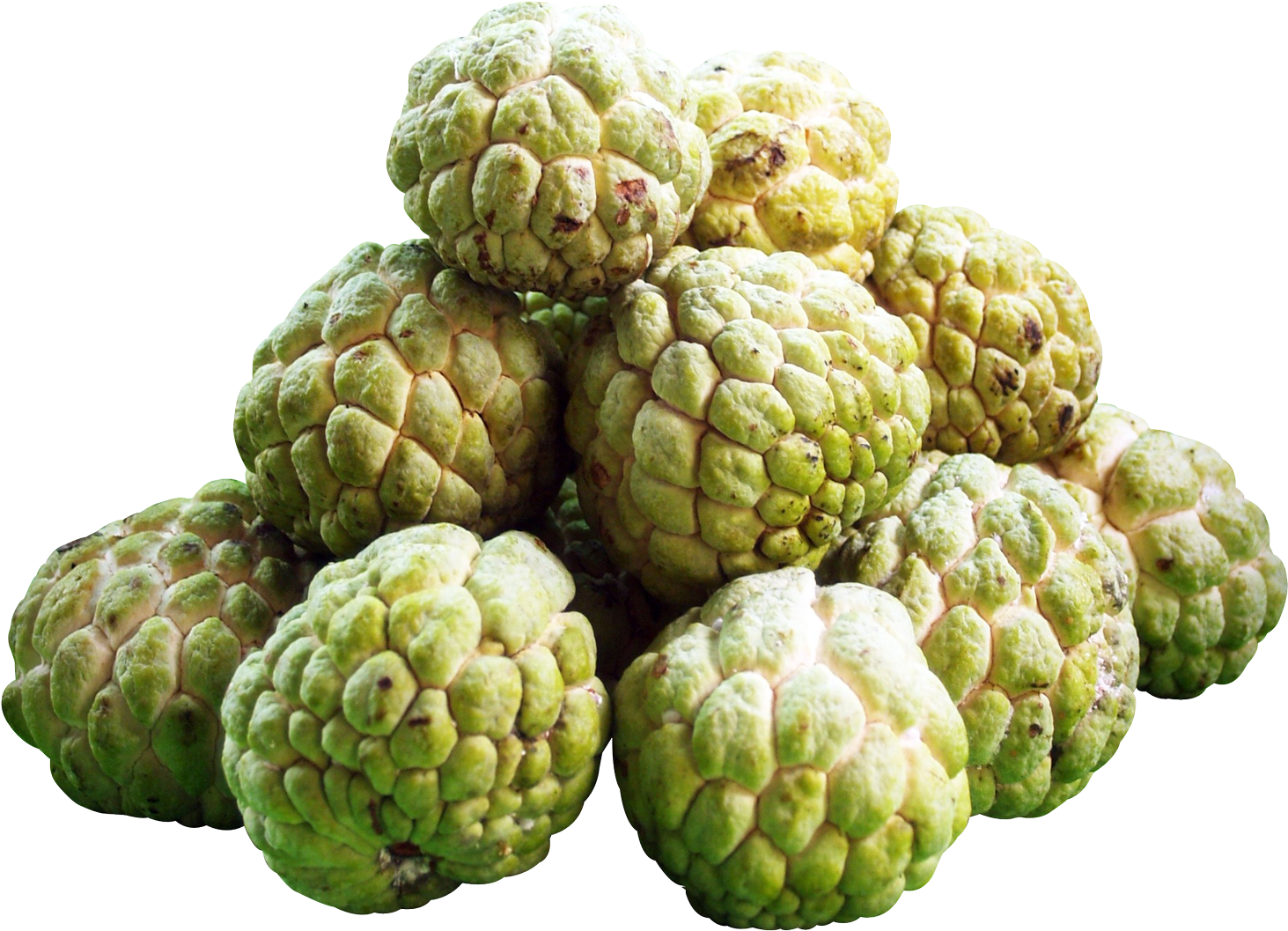 Fresh Custard Apples Isolated Background PNG image