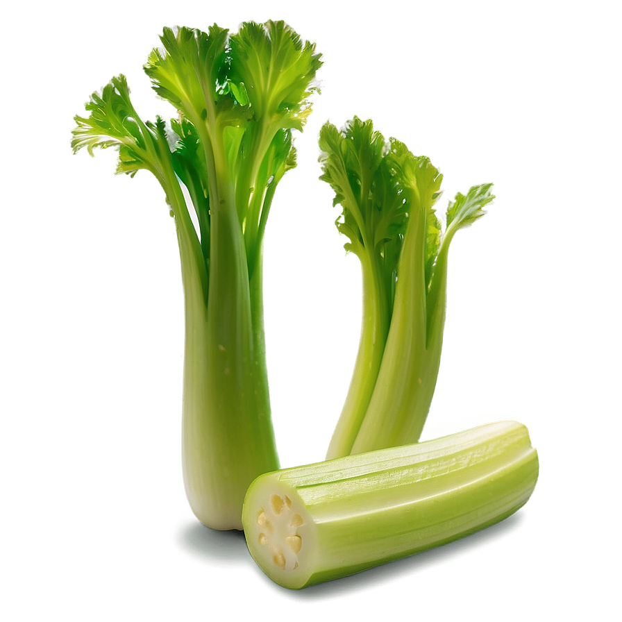 Fresh Cut Celery Png 51 PNG image