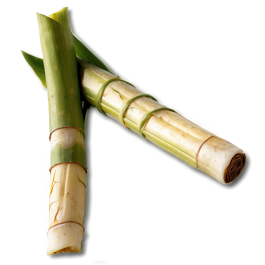 Fresh Cut Sugarcane Selection Png 06262024 PNG image