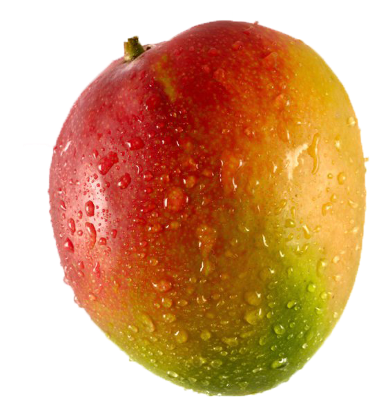 Fresh Dew Kissed Mango PNG image
