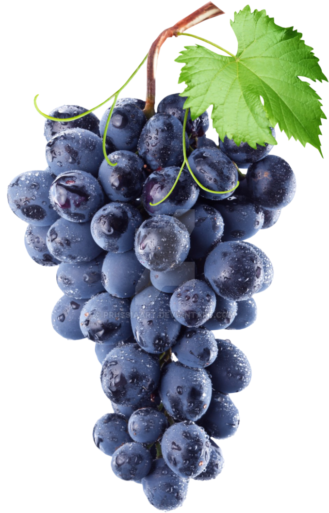 Fresh Dewy Black Grapes PNG image