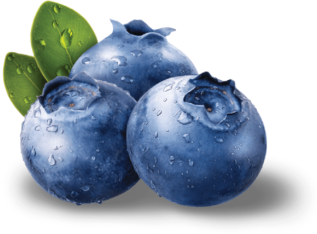 Fresh Dewy Blueberries PNG image