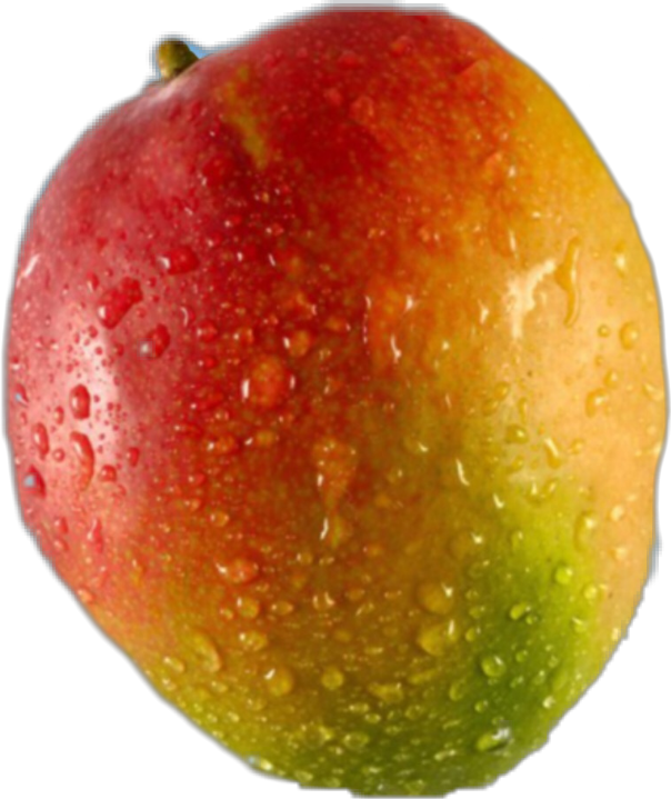 Fresh Dewy Mango Fruit PNG image