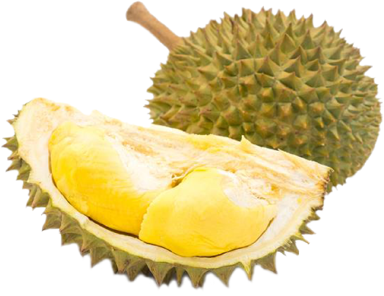 Fresh Durian Fruit Opened PNG image