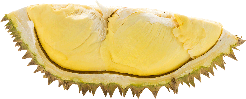 Fresh Durian Segment PNG image