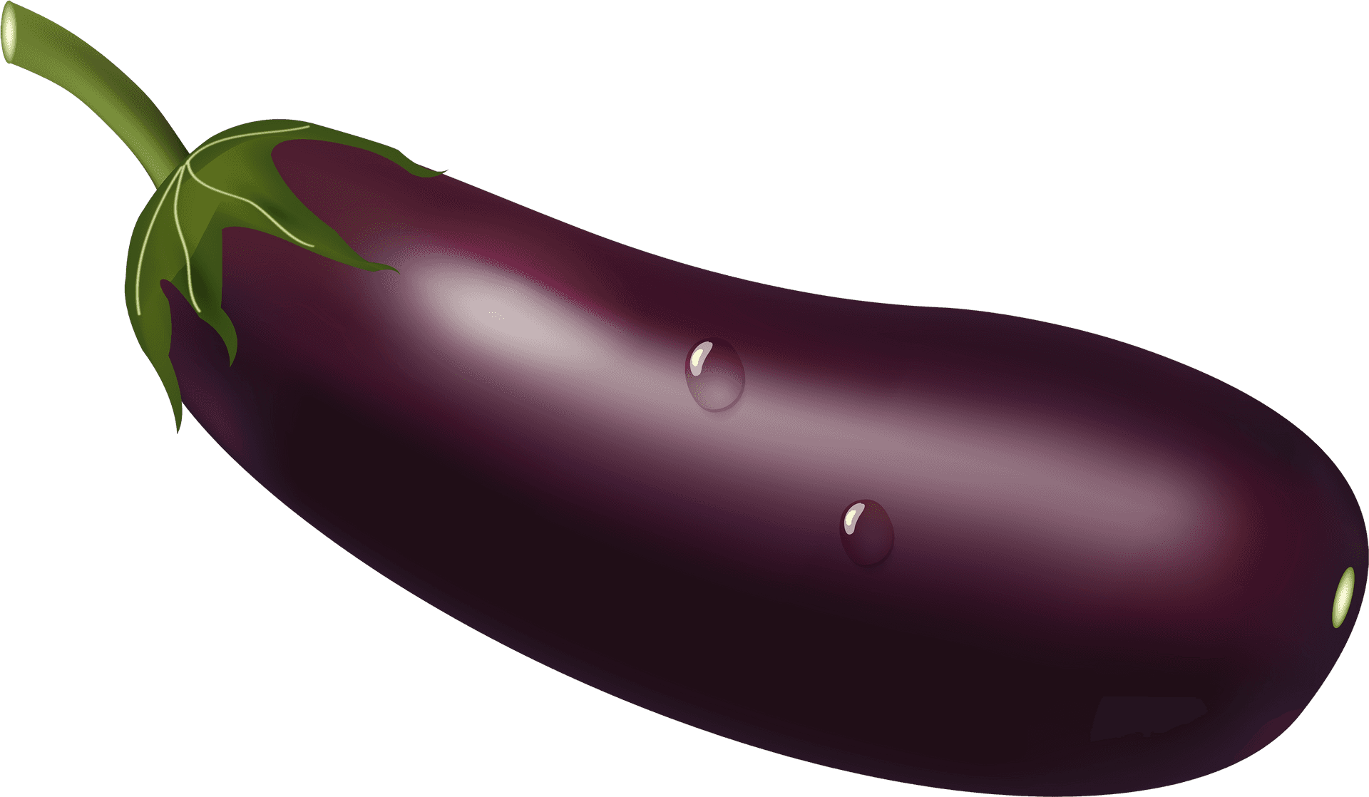 Fresh Eggplantwith Dew Drops PNG image