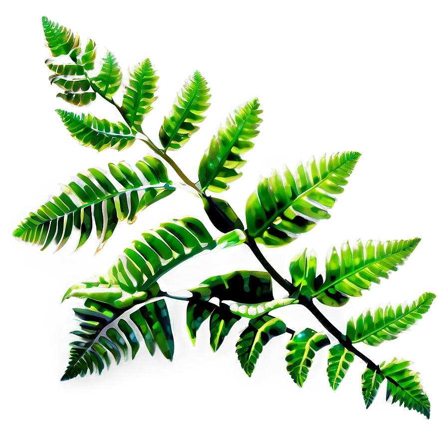 Fresh Fern Leaf Texture Png 06282024 PNG image