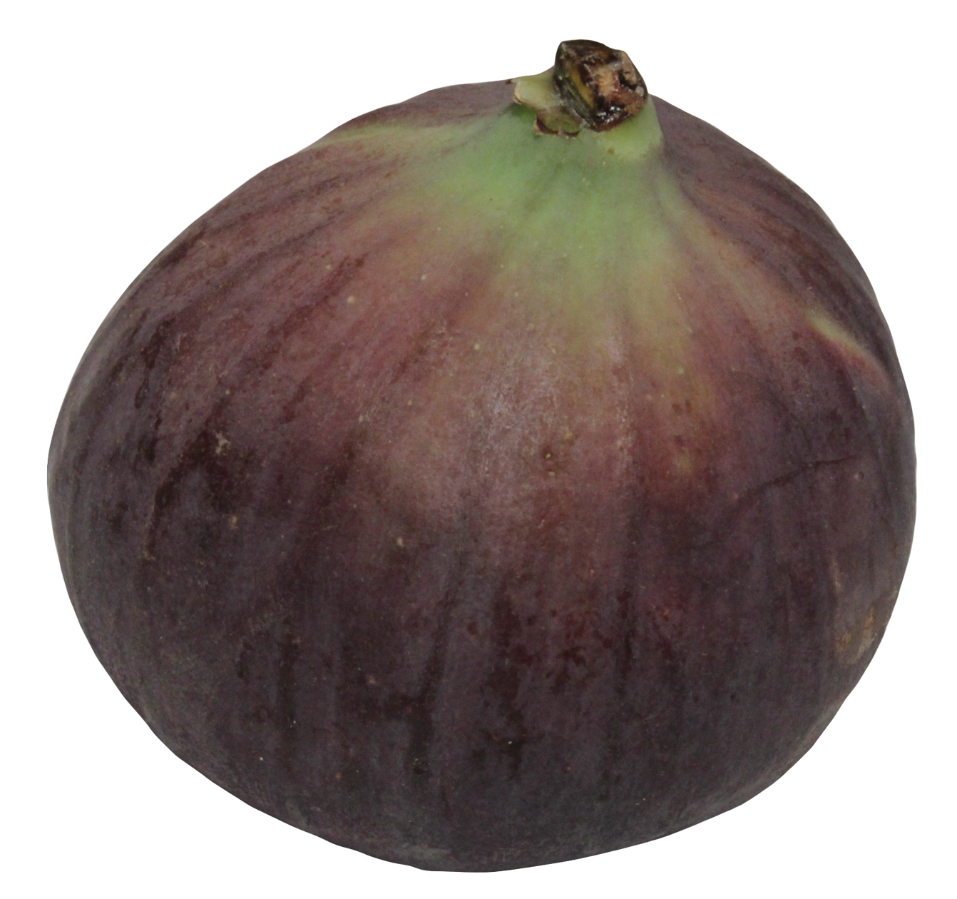 Fresh Fig Fruit Isolated PNG image