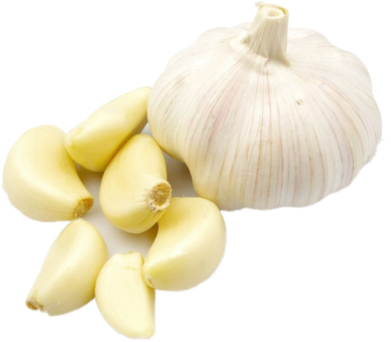 Fresh Garlic Bulband Cloves.png PNG image