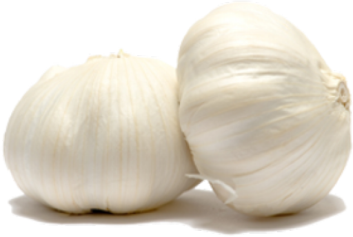 Fresh Garlic Bulbs PNG image