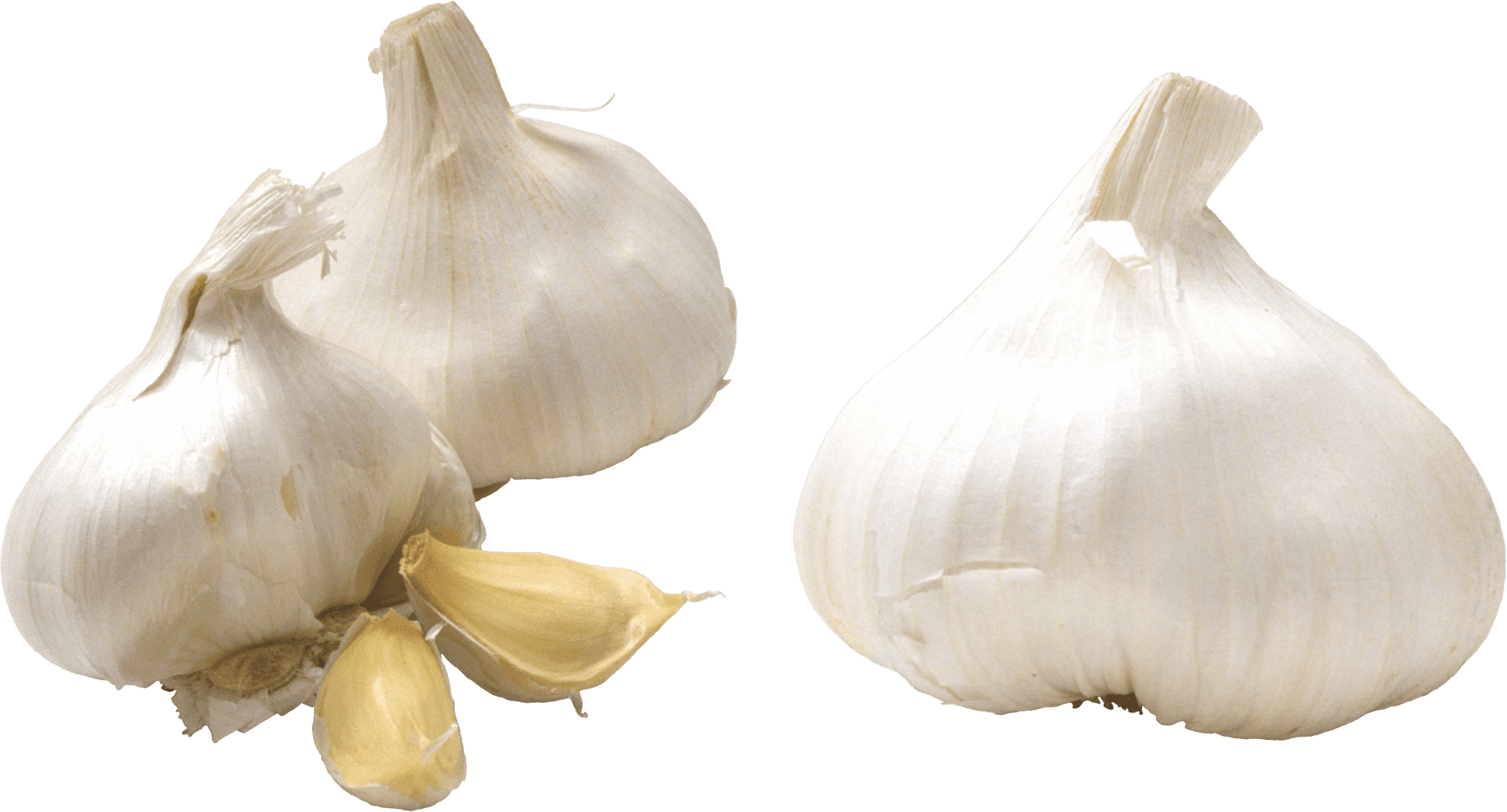 Fresh Garlic Bulbsand Cloves.png PNG image