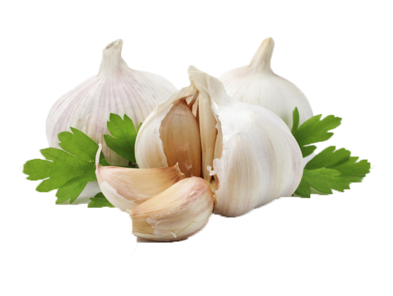 Fresh Garlic Bulbswith Parsley Leaves.png PNG image