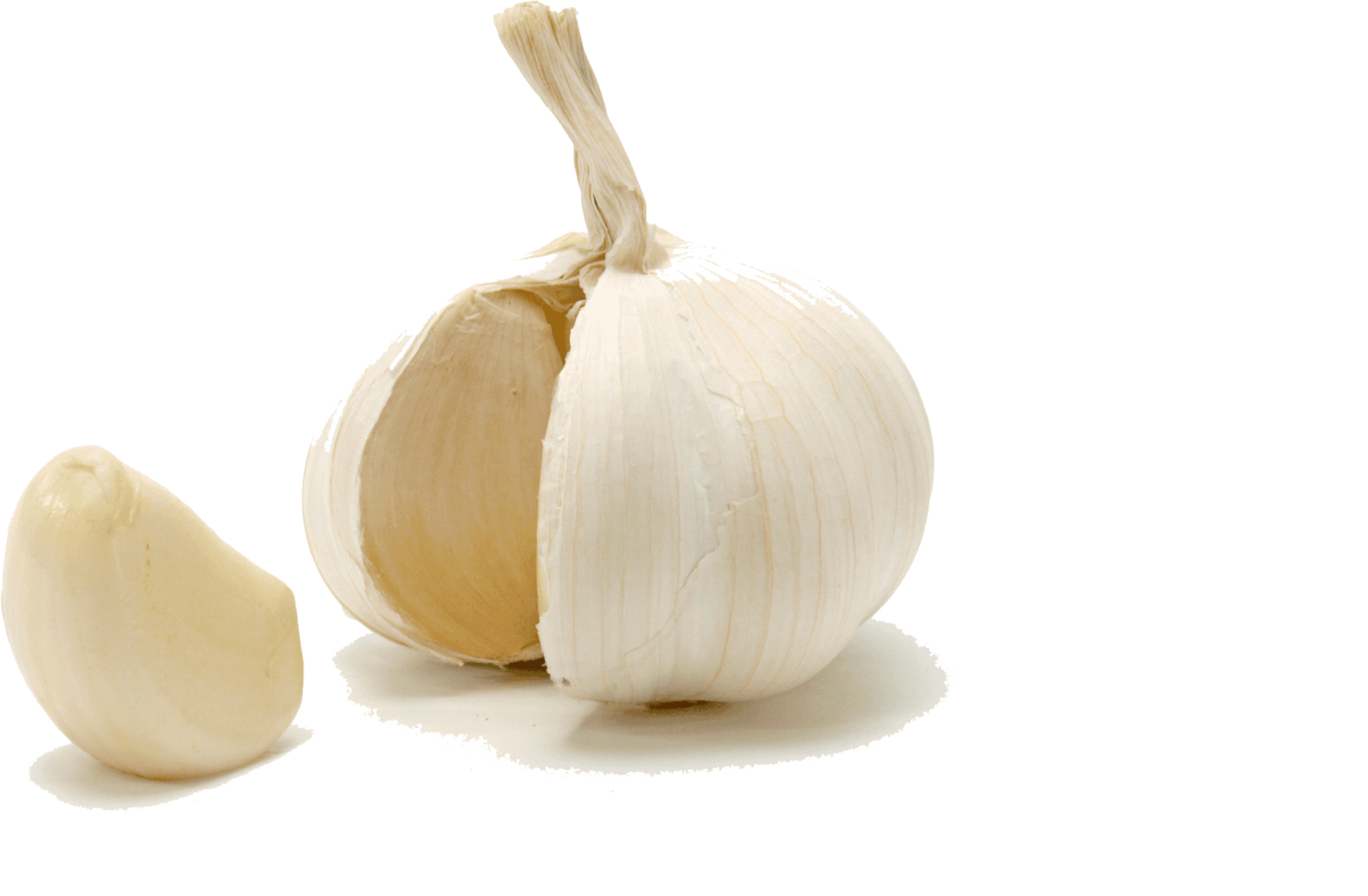 Fresh Garlic Cloveand Bulb PNG image