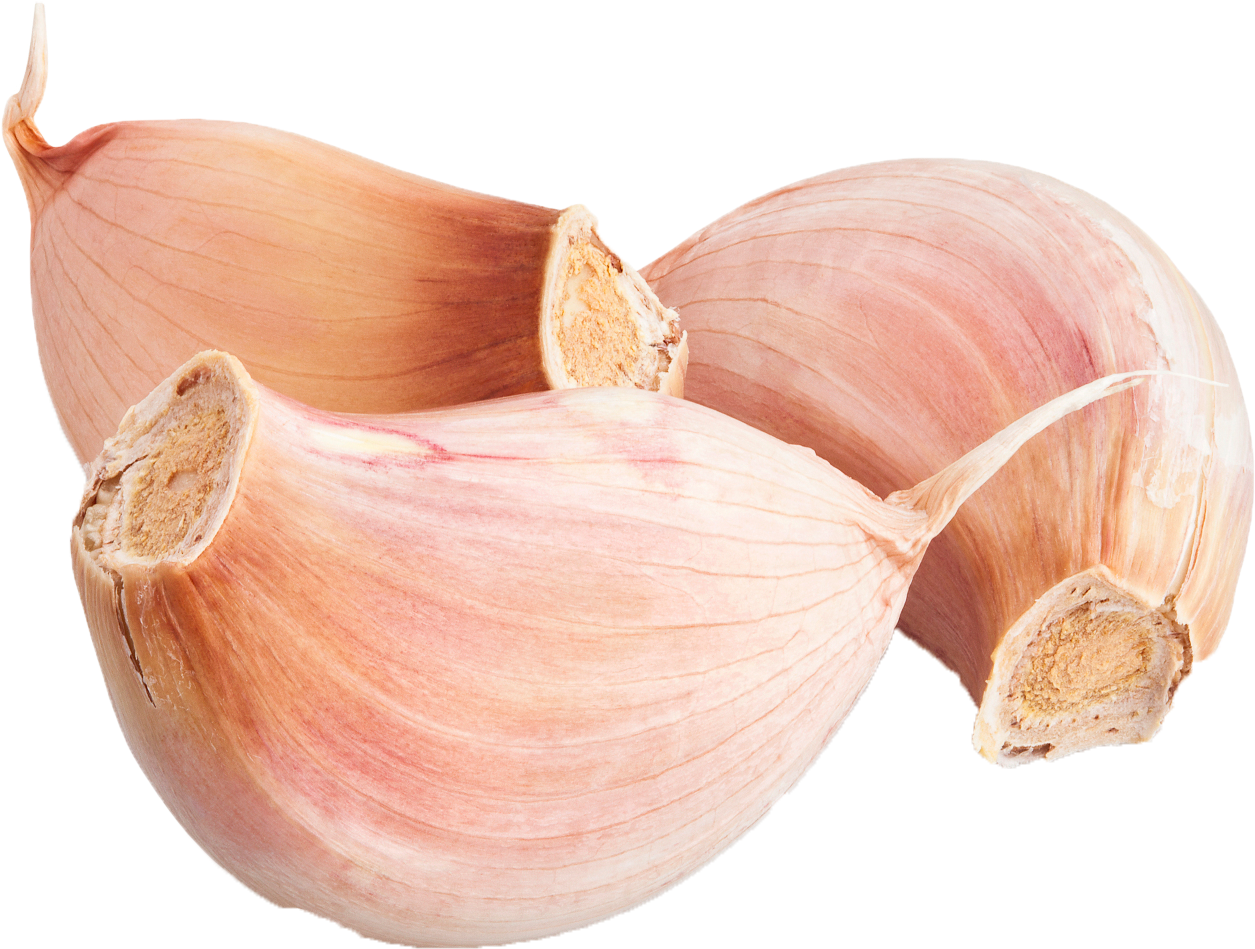 Fresh Garlic Cloves Transparent Background PNG image