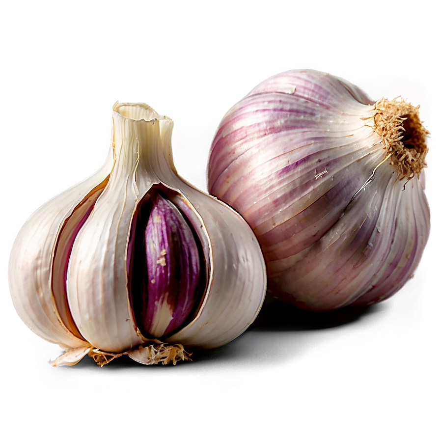 Fresh Garlic Png 95 PNG image