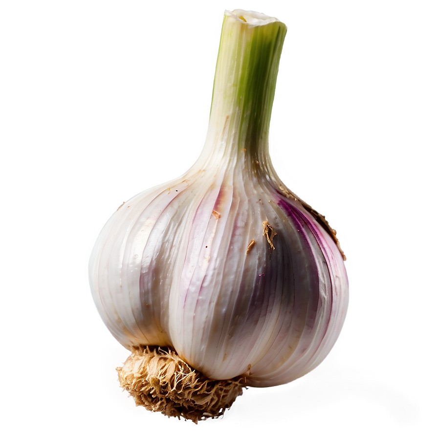 Fresh Garlic Png Ipt PNG image
