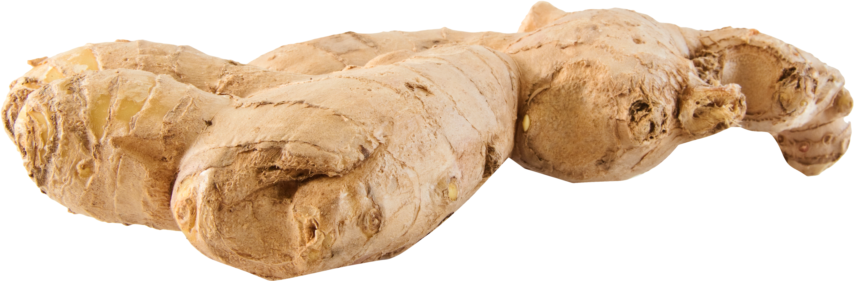 Fresh Ginger Root Isolated PNG image