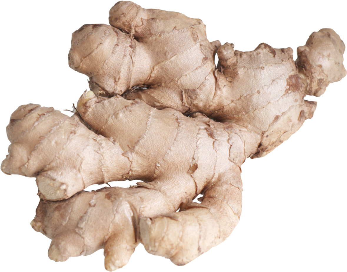 Fresh Ginger Root PNG image