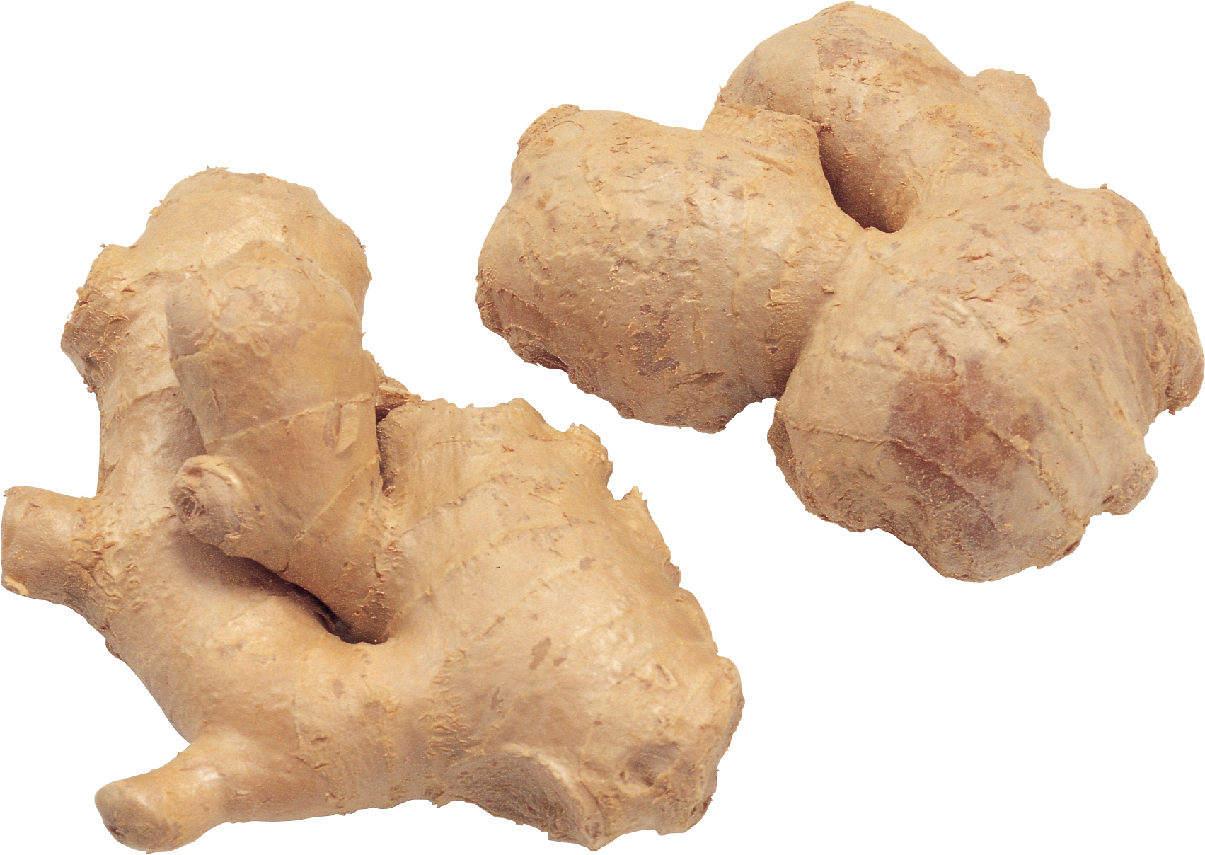 Fresh Ginger Roots PNG image