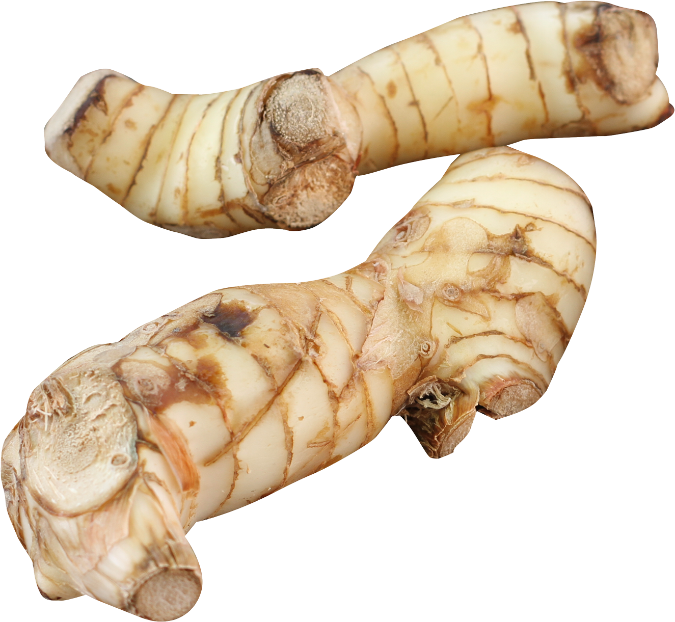 Fresh Ginger Roots Isolated PNG image