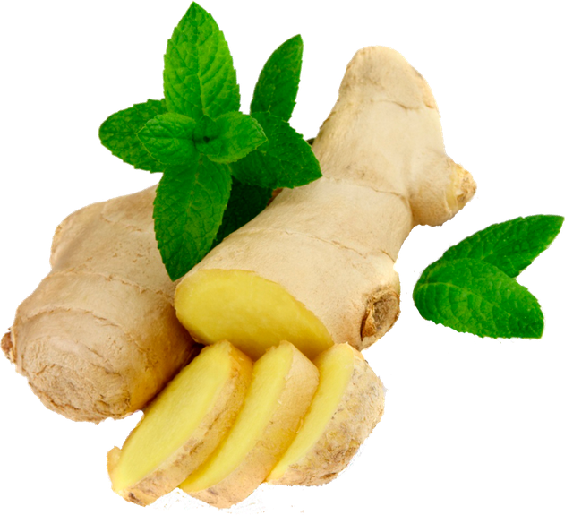 Fresh Ginger Rootwith Mint Leaves PNG image