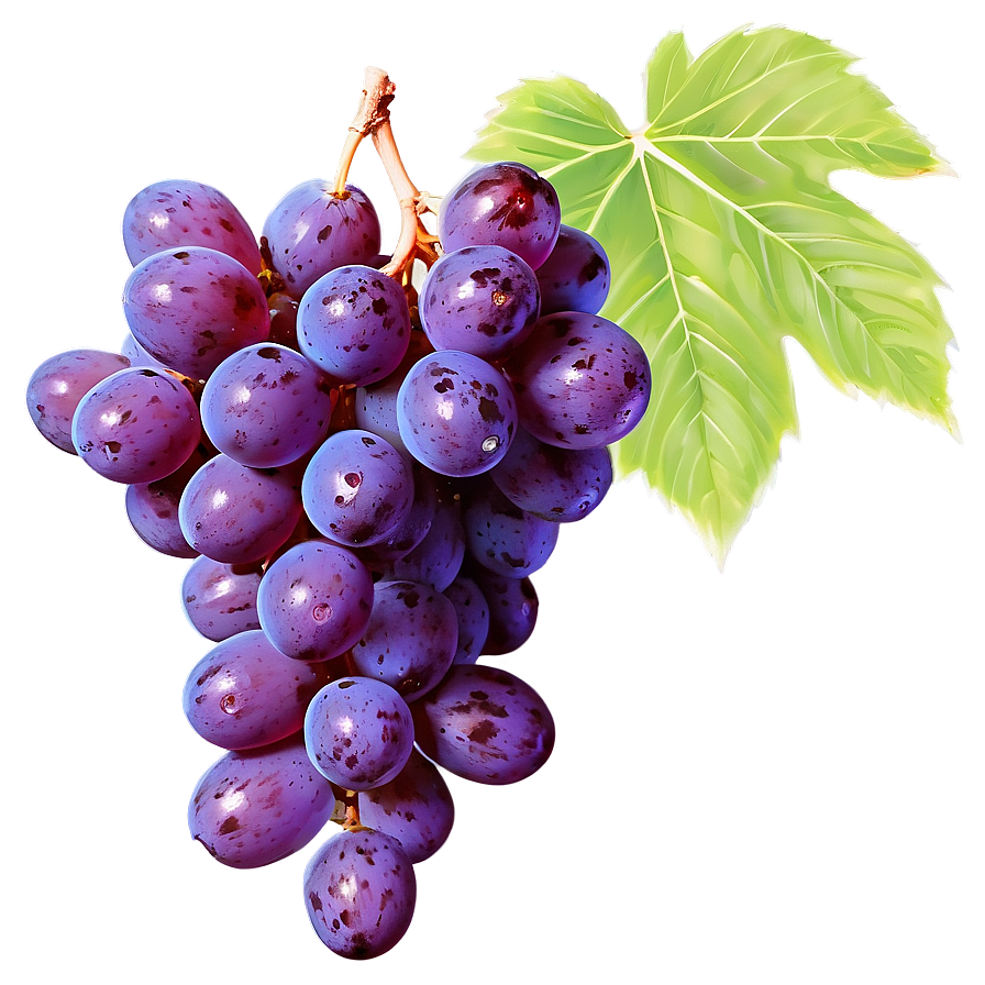 Fresh Grape Cluster Png 39 PNG image