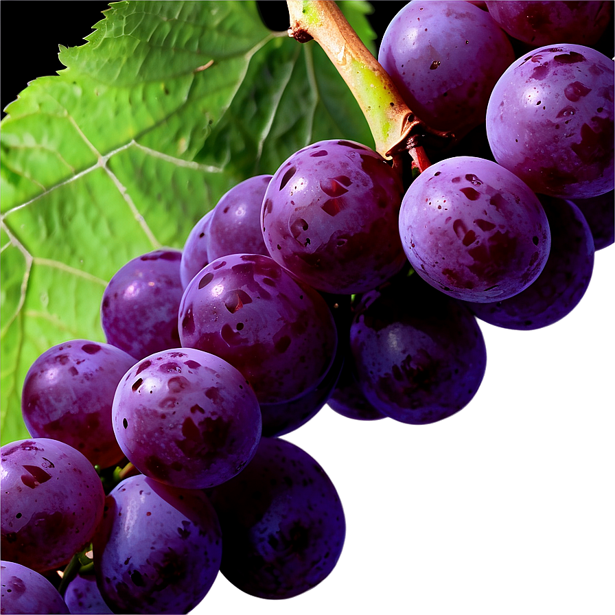 Fresh Grape Image Png 06292024 PNG image