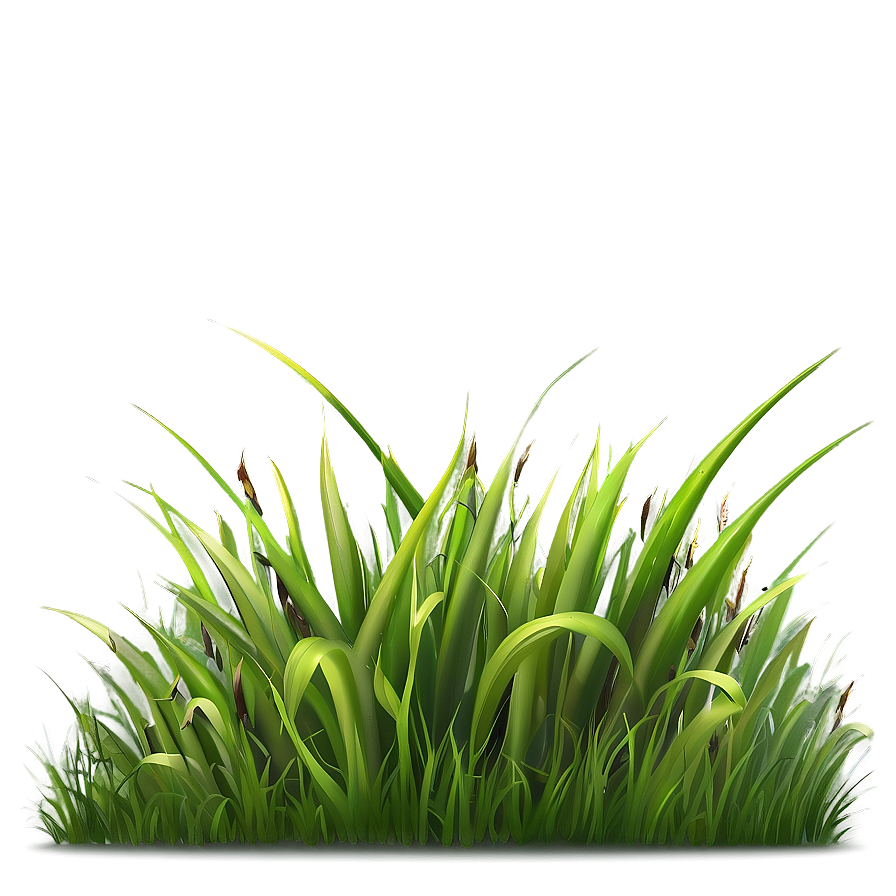 Fresh Grass Clipart Png 06272024 PNG image