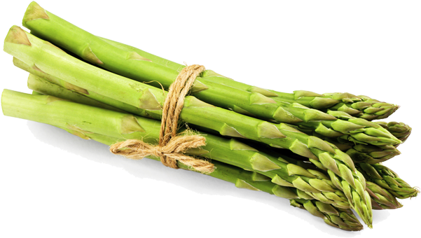 Fresh Green Asparagus Bundle PNG image