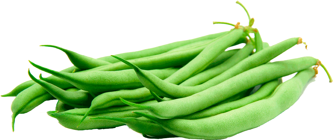 Fresh Green Beans P N G Image PNG image