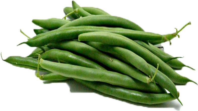 Fresh Green Beans P N G Transparent Background PNG image