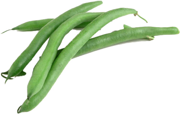 Fresh Green Beans Transparent Background PNG image