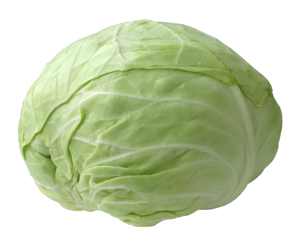 Fresh Green Cabbage PNG image