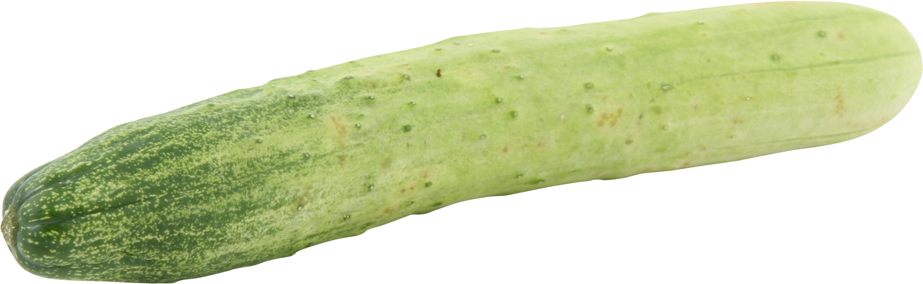 Fresh Green Cucumber Isolated PNG image