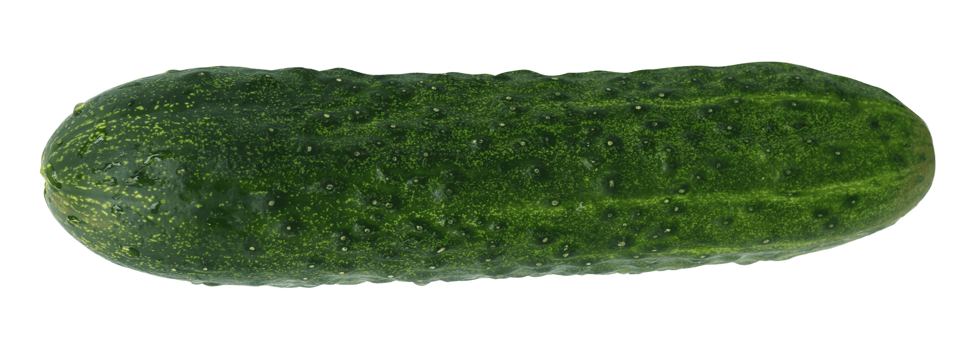 Fresh Green Cucumber PNG image