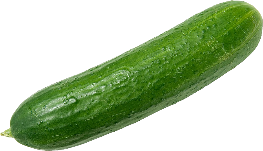 Fresh Green Cucumber.png PNG image