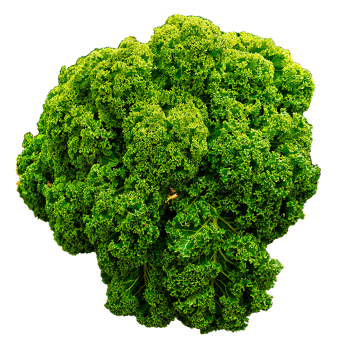 Fresh Green Curly Kale PNG image