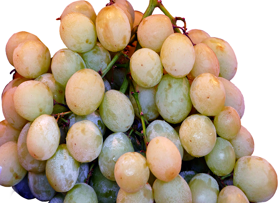 Fresh Green Grapes Cluster PNG image