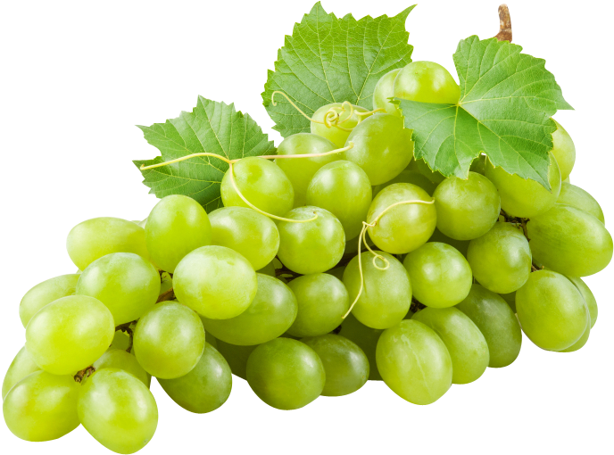 Fresh Green Grapes Cluster PNG image