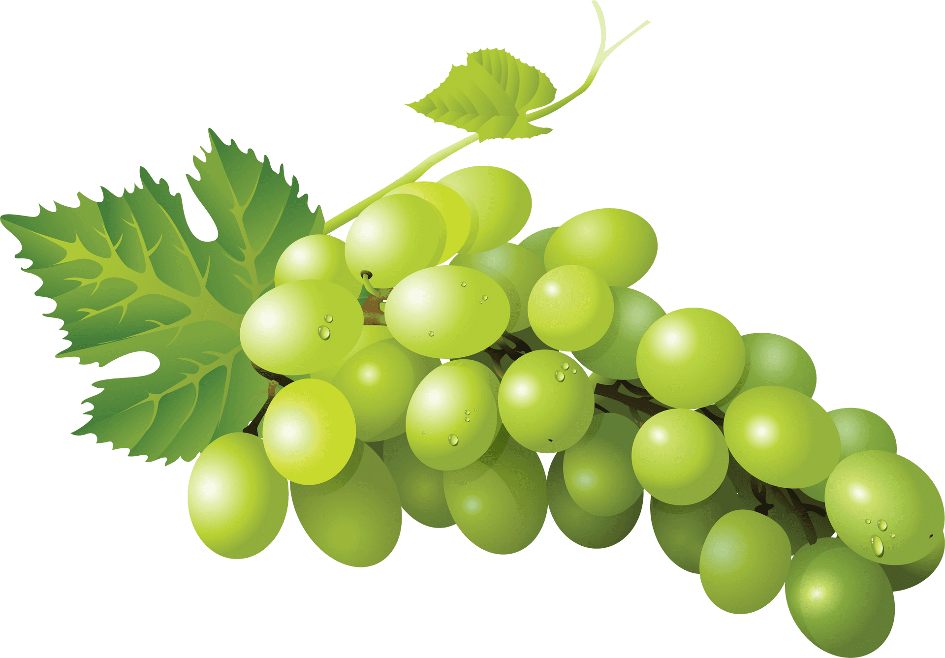 Fresh Green Grapes Cluster PNG image