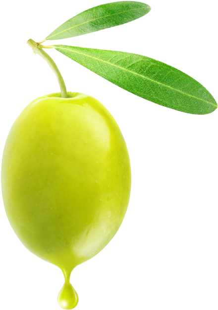 Fresh Green Olivewith Droplet PNG image