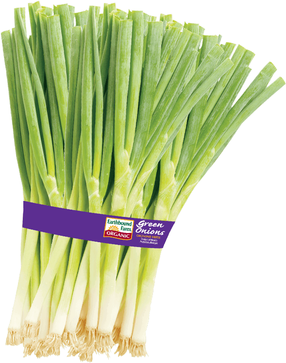 Fresh Green Onions Bundle PNG image